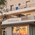 Gabbiano Rimini