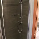Gabbiano 3*