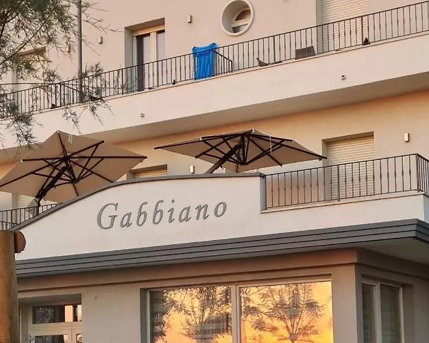 Gabbiano Rimini